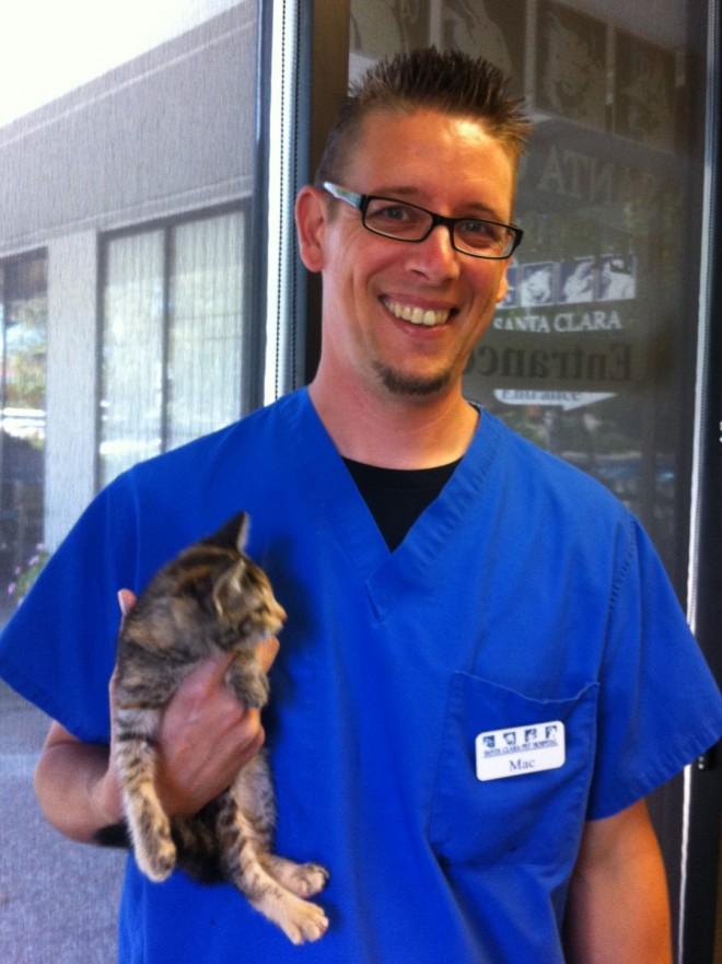 Team - Santa Clara Pet Hospital - Providing Small Animal ...
